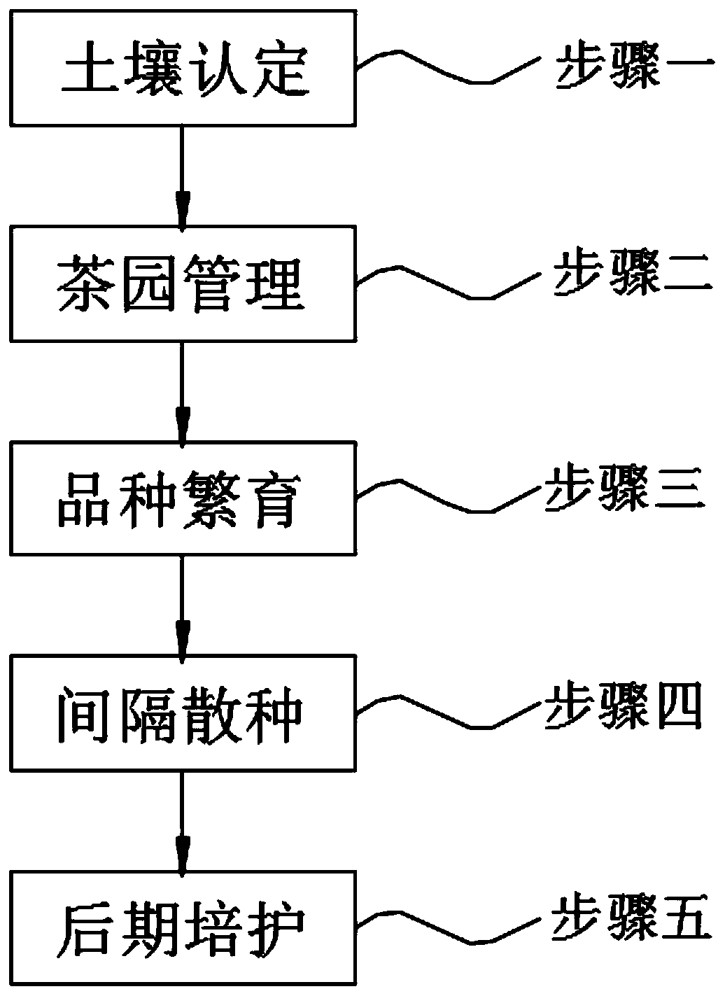 Management method for scattered tea garden in small producing area