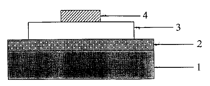 ZnO Schottky diode