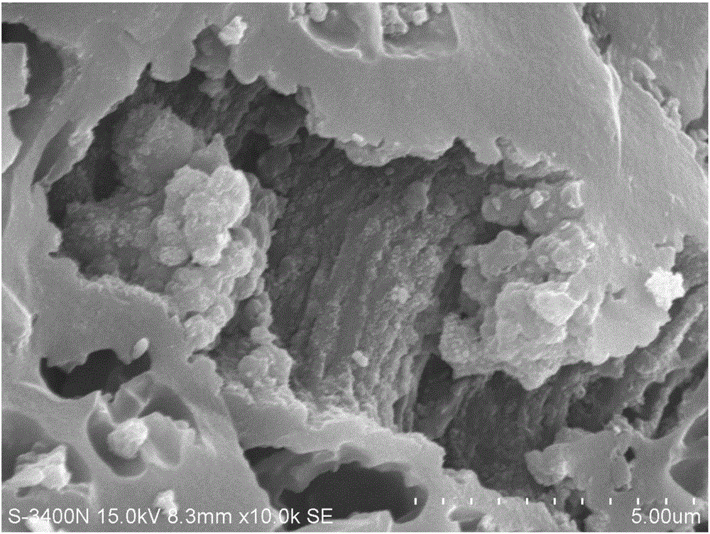 Bifunctional adsorbent of N-TiO2 silkworm-excrement porous carbon and preparation method of bifunctional adsorbent