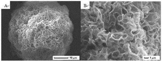 Three-dimensional wrinkle polylactic acid microballoons and preparation method and uses thereof