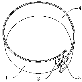 Leaf spring product and application of leaf spring