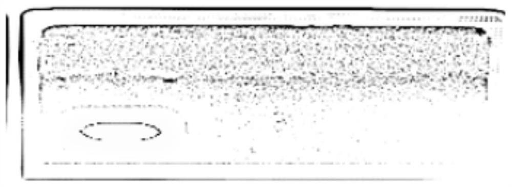 Slicing processing method based on complex background