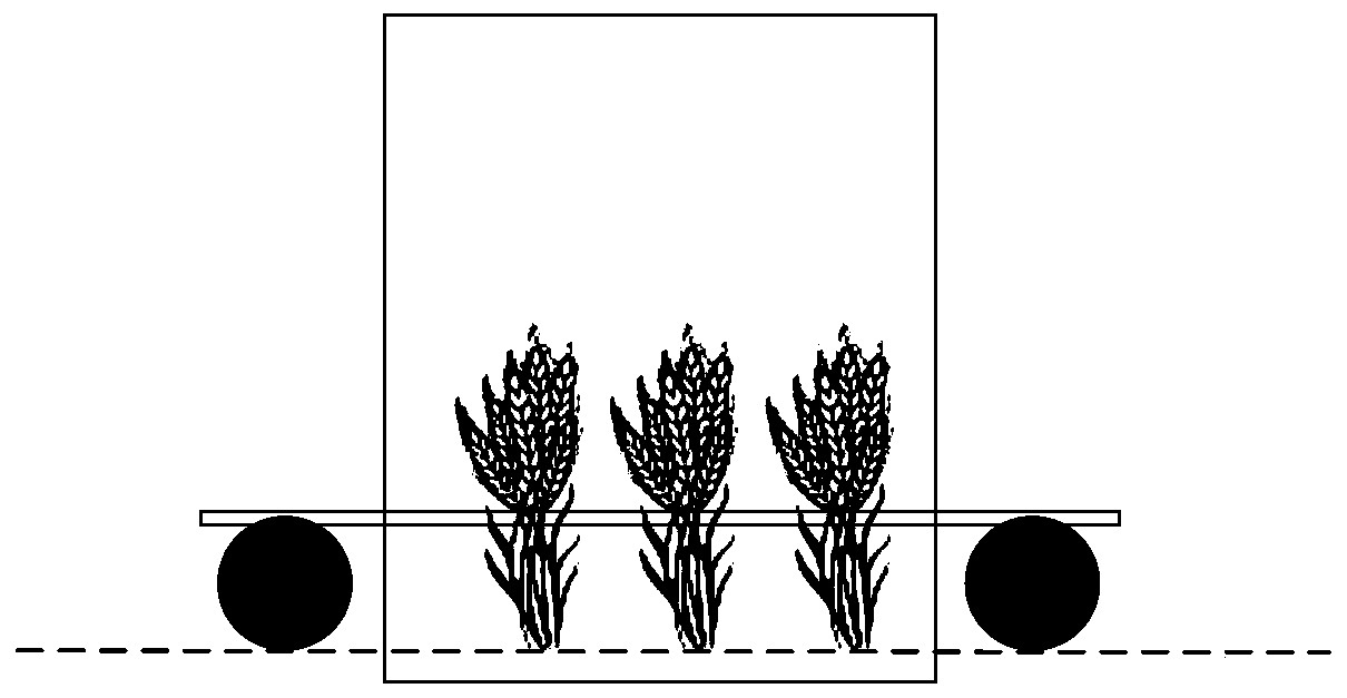 Crop canopy assimilation measuring robot