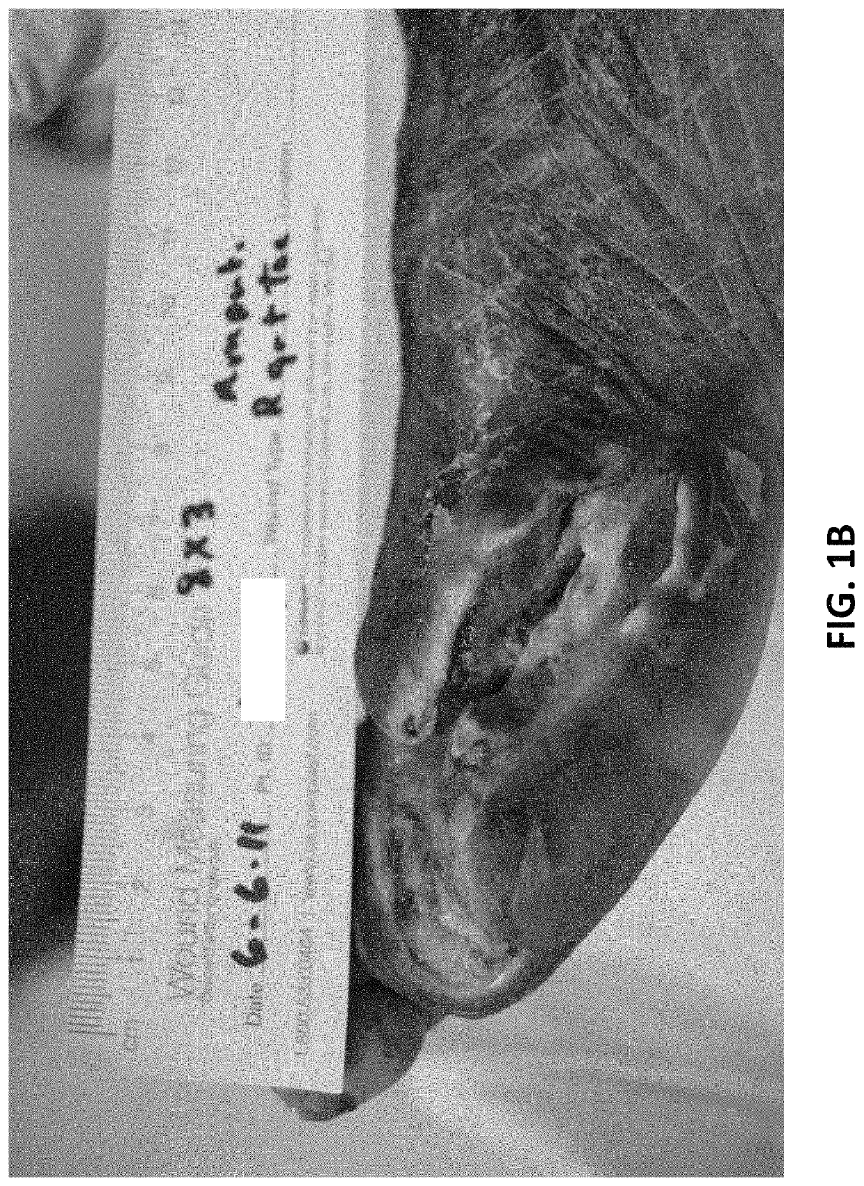 Formulations and methods for wound treatment