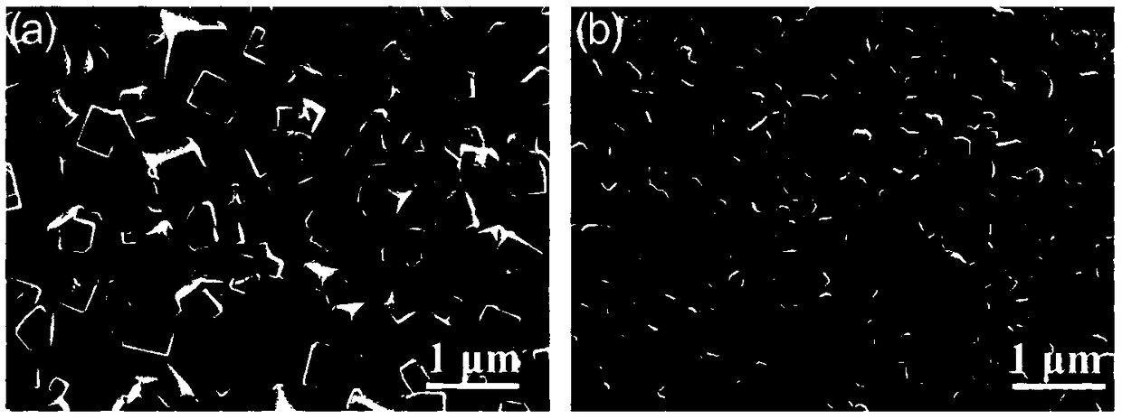 Perovskite solar cell and preparation method thereof