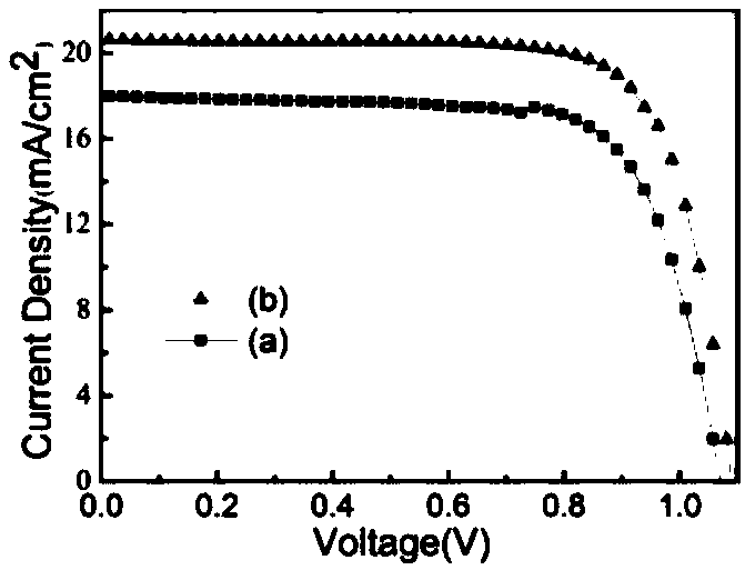 Perovskite solar cell and preparation method thereof