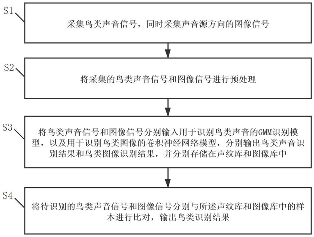 Intelligent bird identification method and system based on GMM identification model