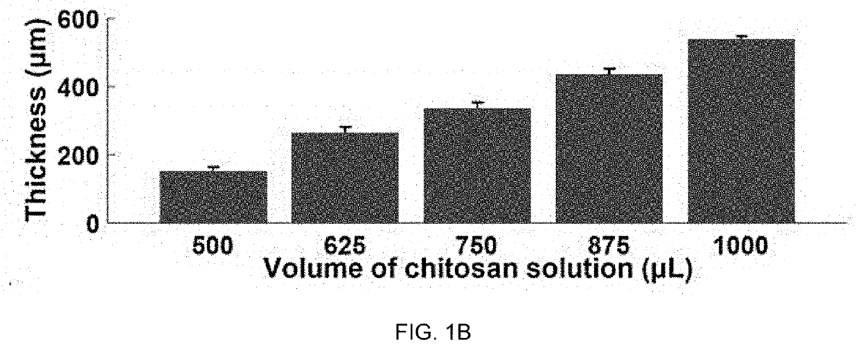 Chitosan porous structure-based magnetically actuated microrobot