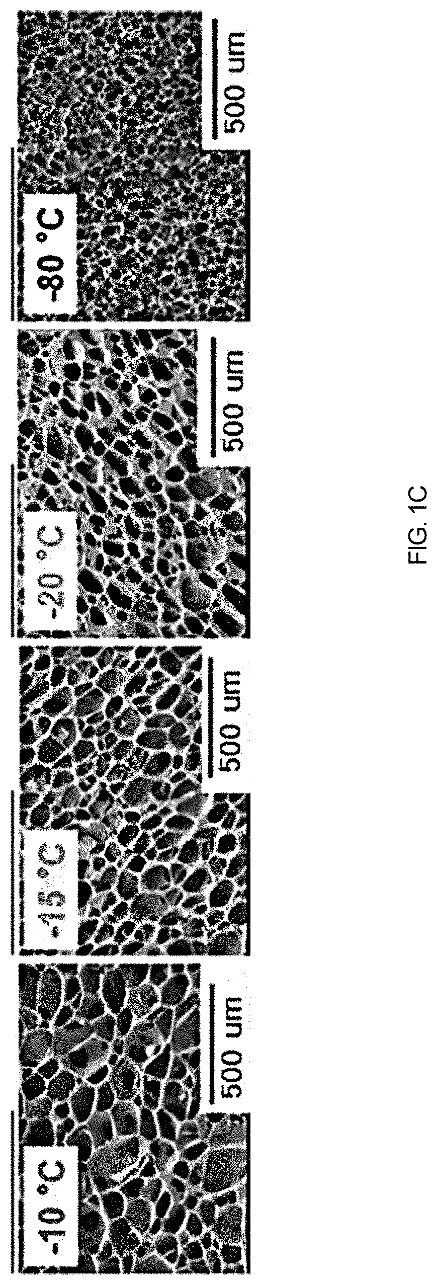 Chitosan porous structure-based magnetically actuated microrobot