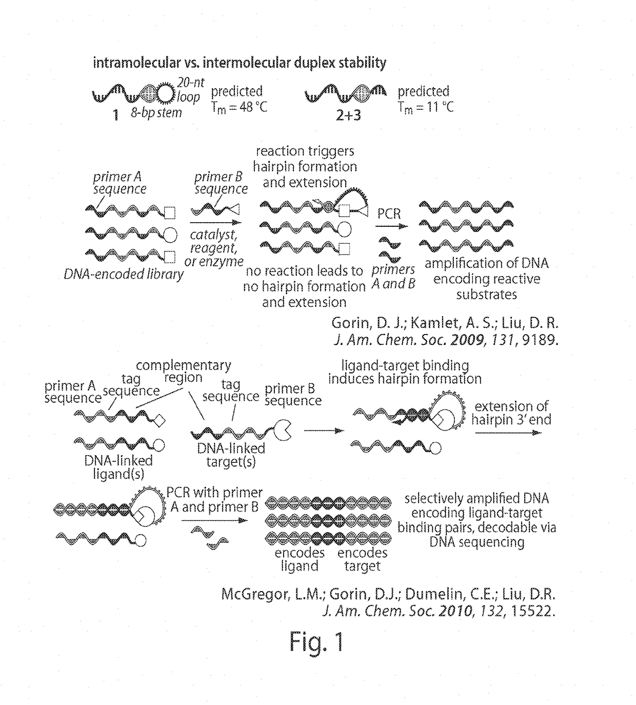 In situ interaction determination