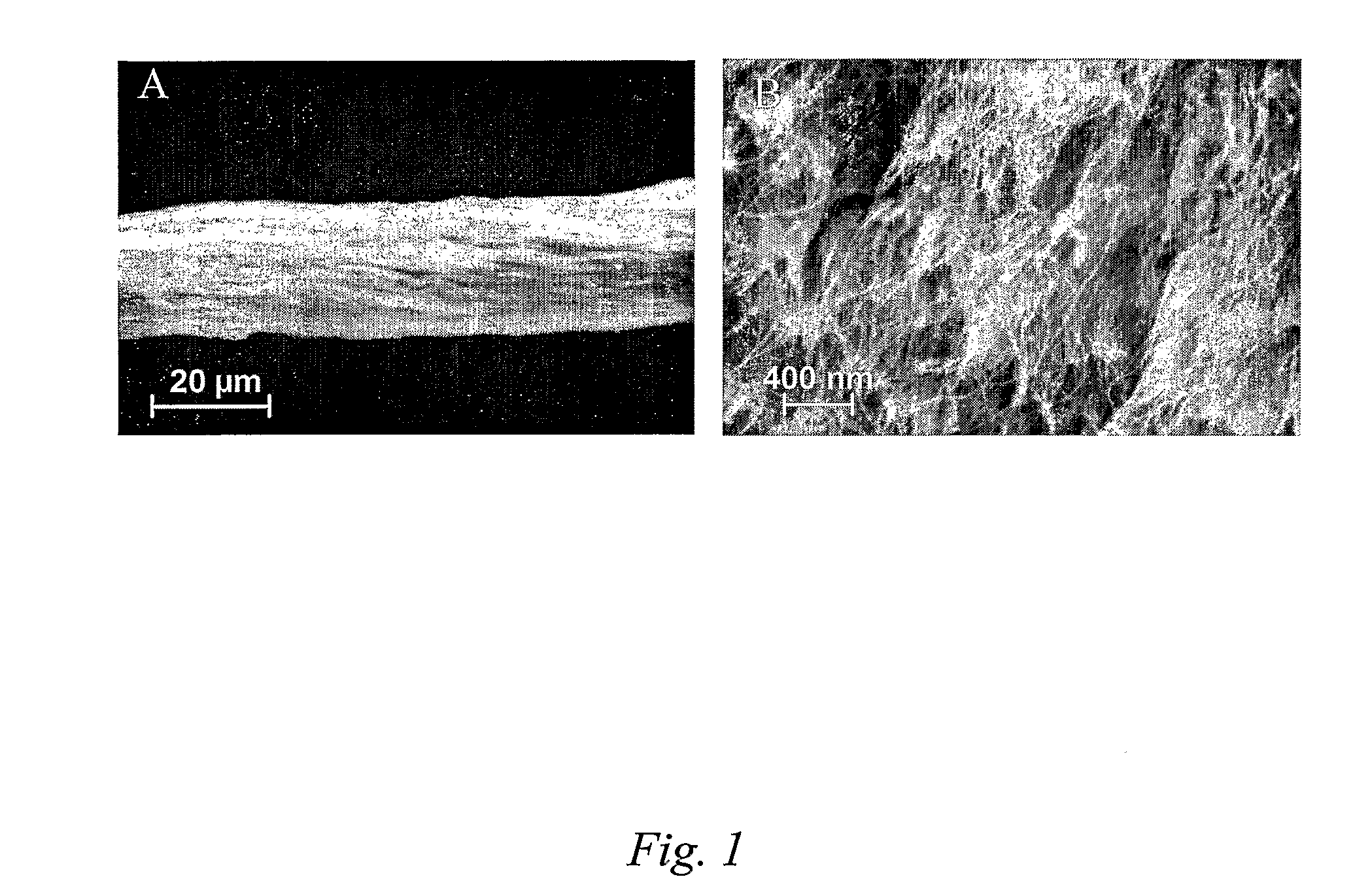 Polymer-Free Carbon Nanotube Assemblies (Fibers, Ropes, Ribbons, Films)