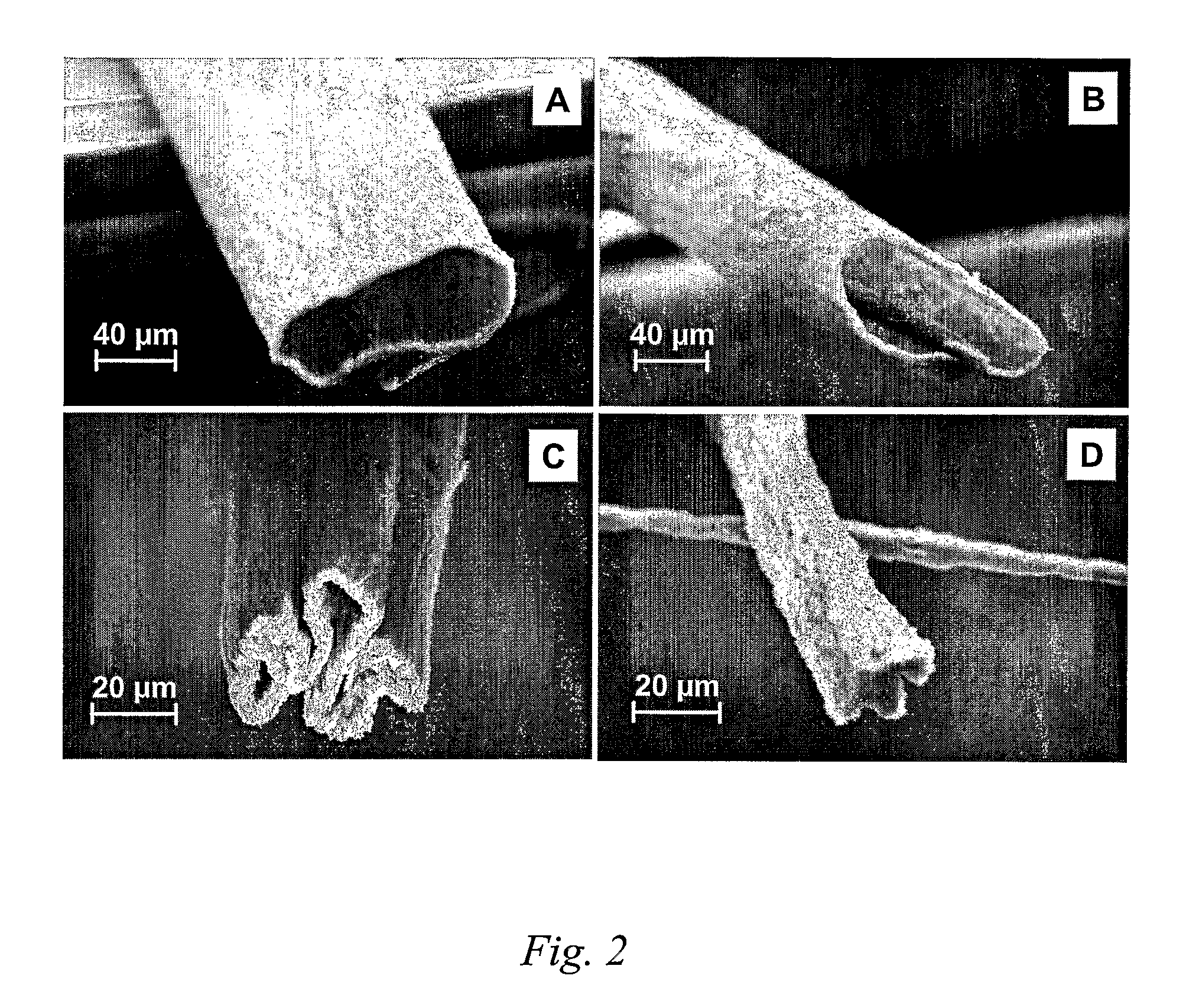 Polymer-Free Carbon Nanotube Assemblies (Fibers, Ropes, Ribbons, Films)