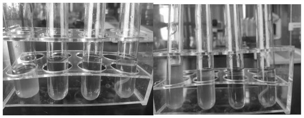 Natural antibacterial eugenol microcapsule and preparation method thereof