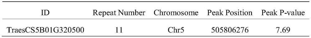 Application of wheat TaPRR95-B protein or coding gene thereof in regulation of plant height