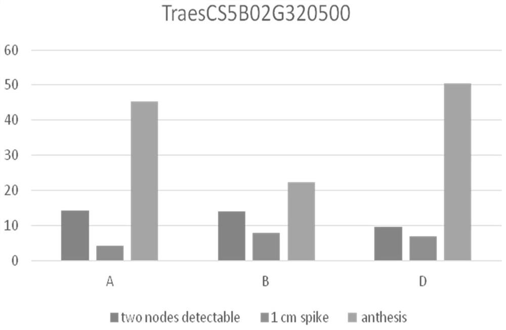 Application of wheat TaPRR95-B protein or coding gene thereof in regulation of plant height