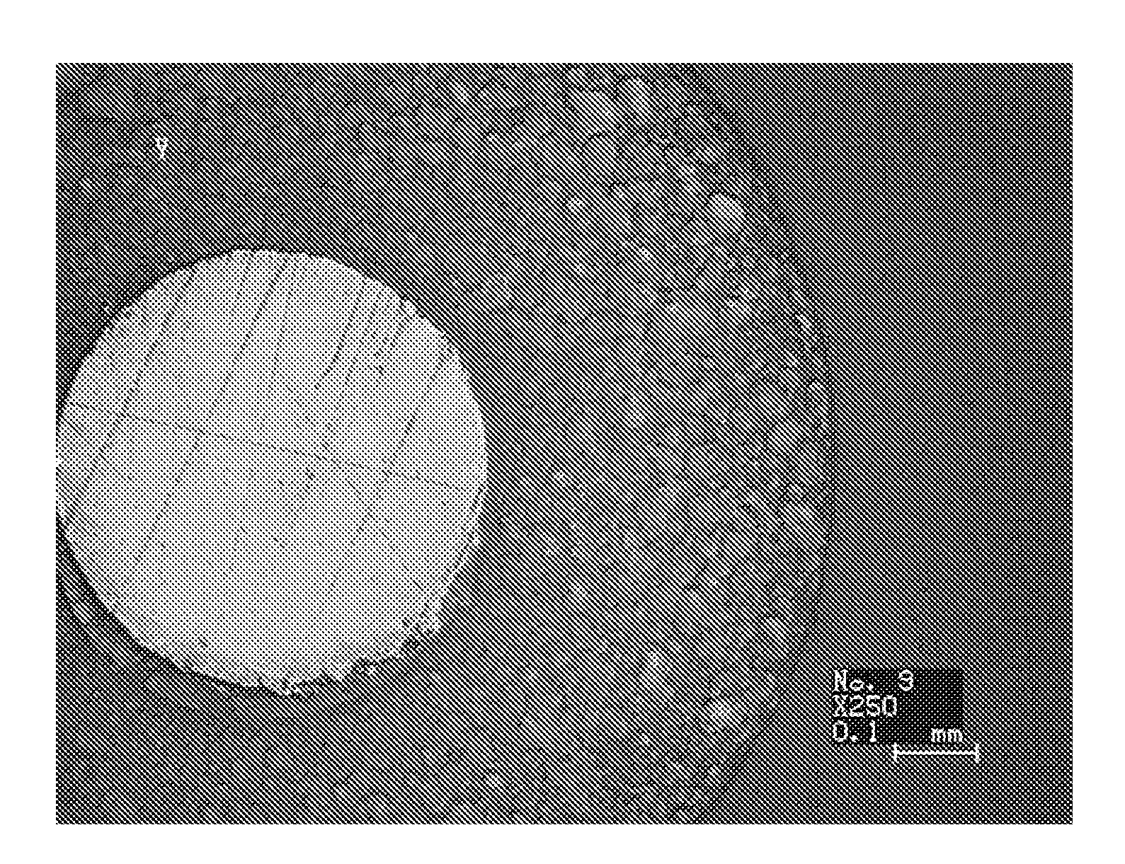 Foaming Resin Composition, Foam Using the Same and Coaxial Insulated Cable