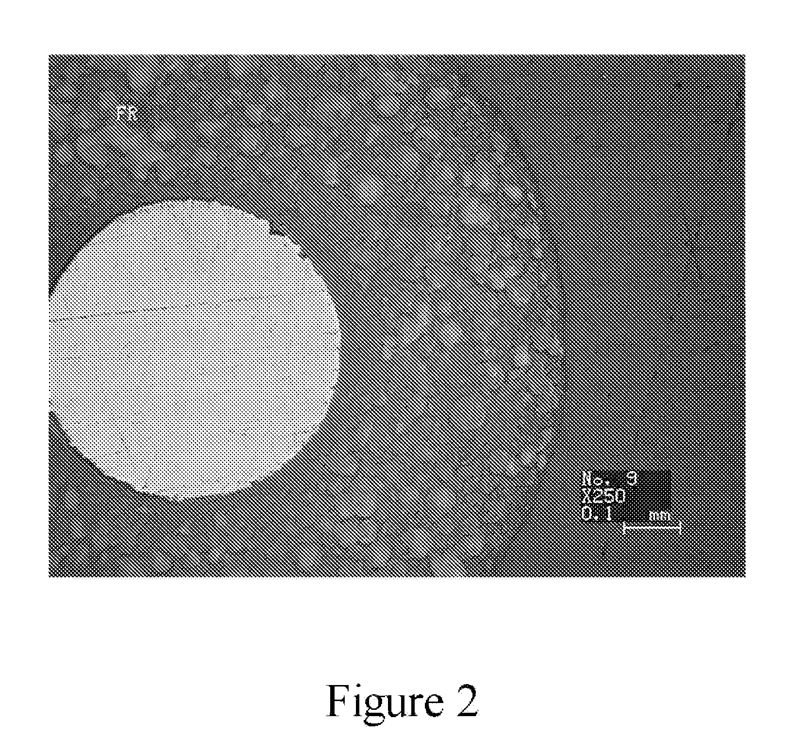 Foaming Resin Composition, Foam Using the Same and Coaxial Insulated Cable