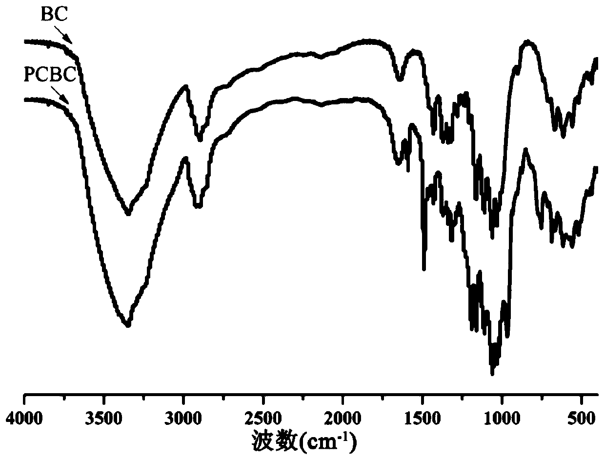 Cell membrane-simulated surface-modified bacterial cellulose and preparation method and application thereof