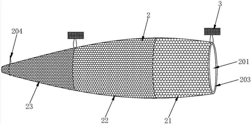 Anguilla japonica fry fishing device and using method