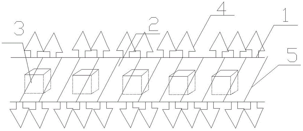 Simulated wild planting method for hemsleyrockvine roots