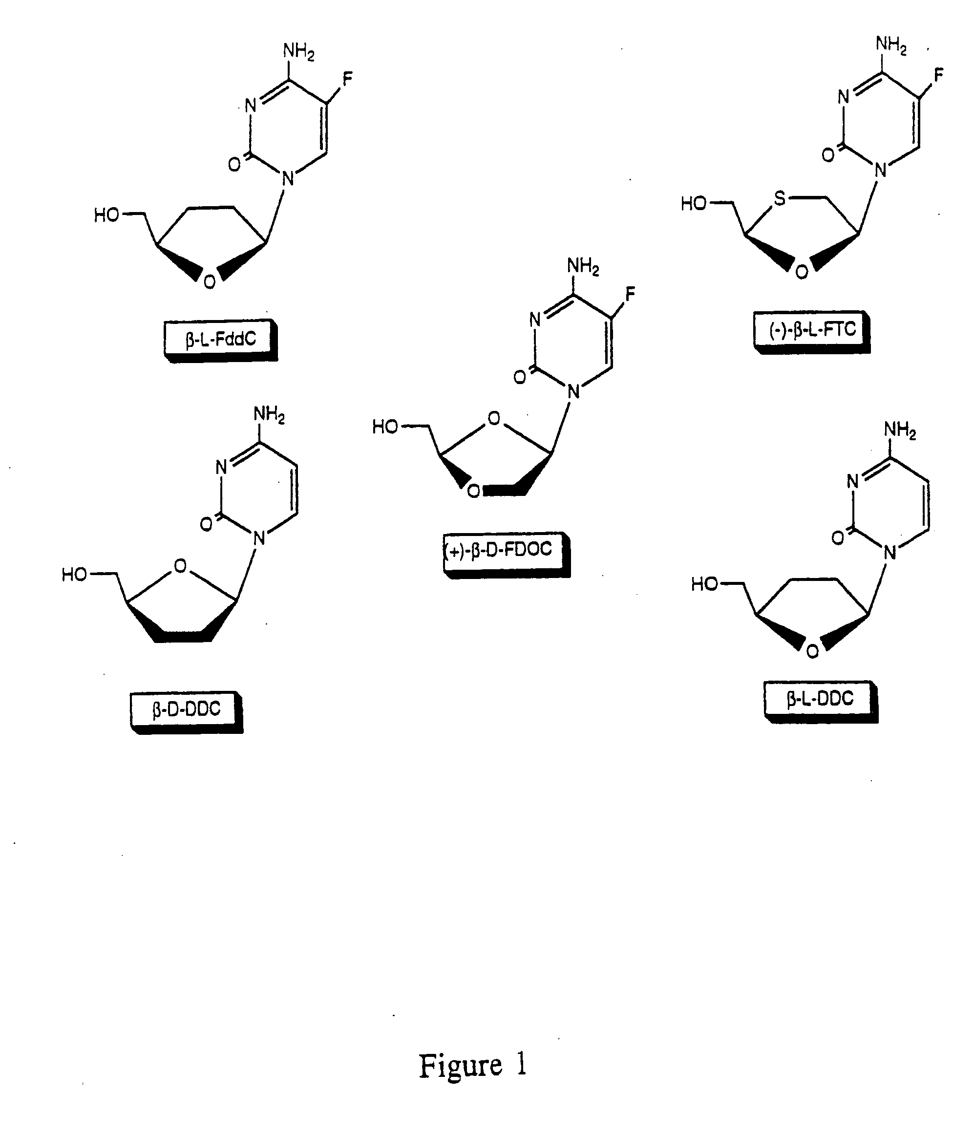 Thymine nucleosides with anti-hepatitis B virus activity