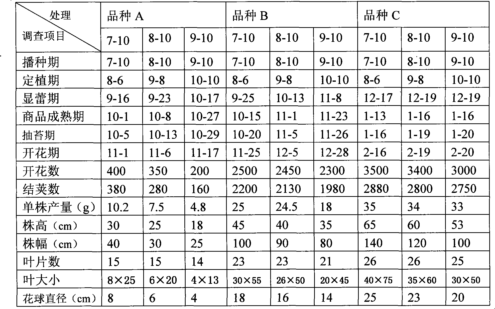 Synthetic blooming period regulating and controlling method for cauliflower hybridization production of hybrid seeds