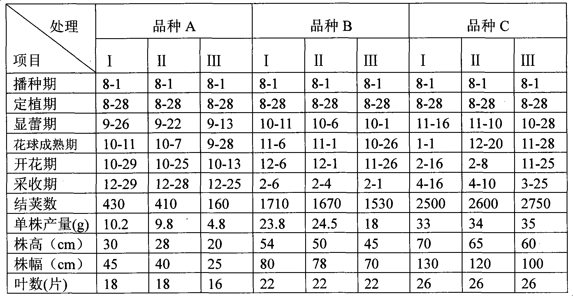 Synthetic blooming period regulating and controlling method for cauliflower hybridization production of hybrid seeds