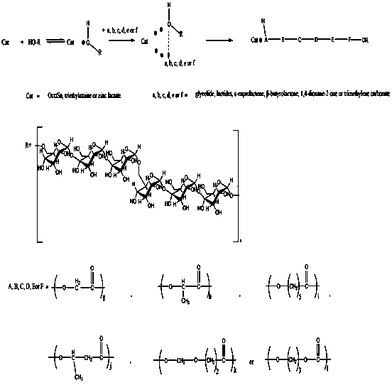 Comb amphiphilic polymer using pulullan as main chain, synthetic process and application thereof