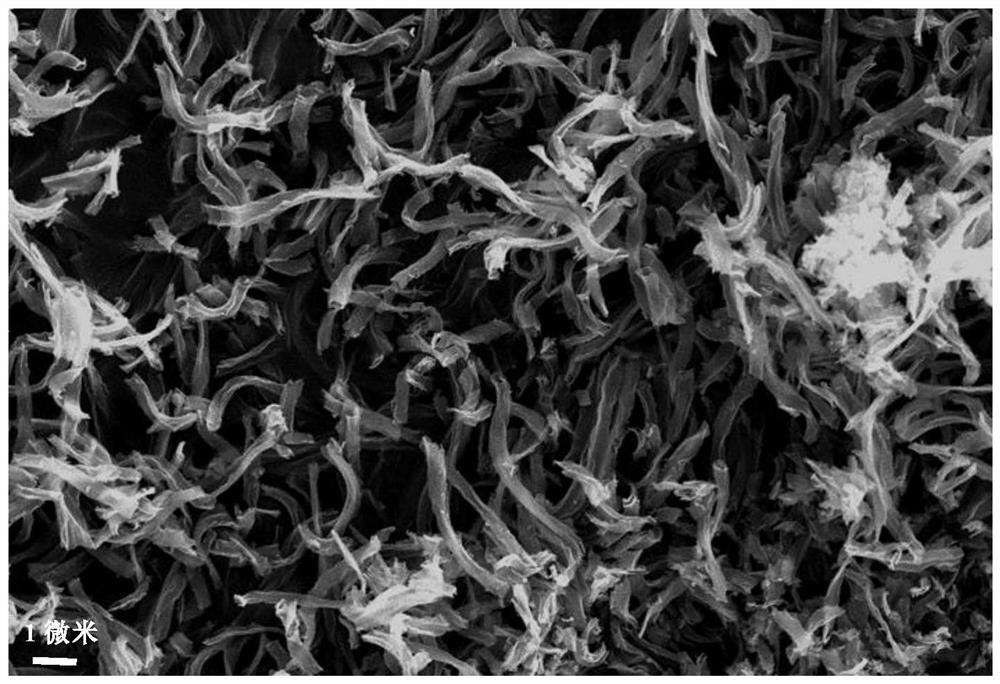 Method for preparing metal element doped cobalt oxide (Co3O4) nanofiber electrode by electrostatic spinning method