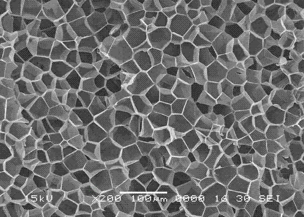 Industrially-applicable method for preparing polymer foamed material by using supercritical fluid technology