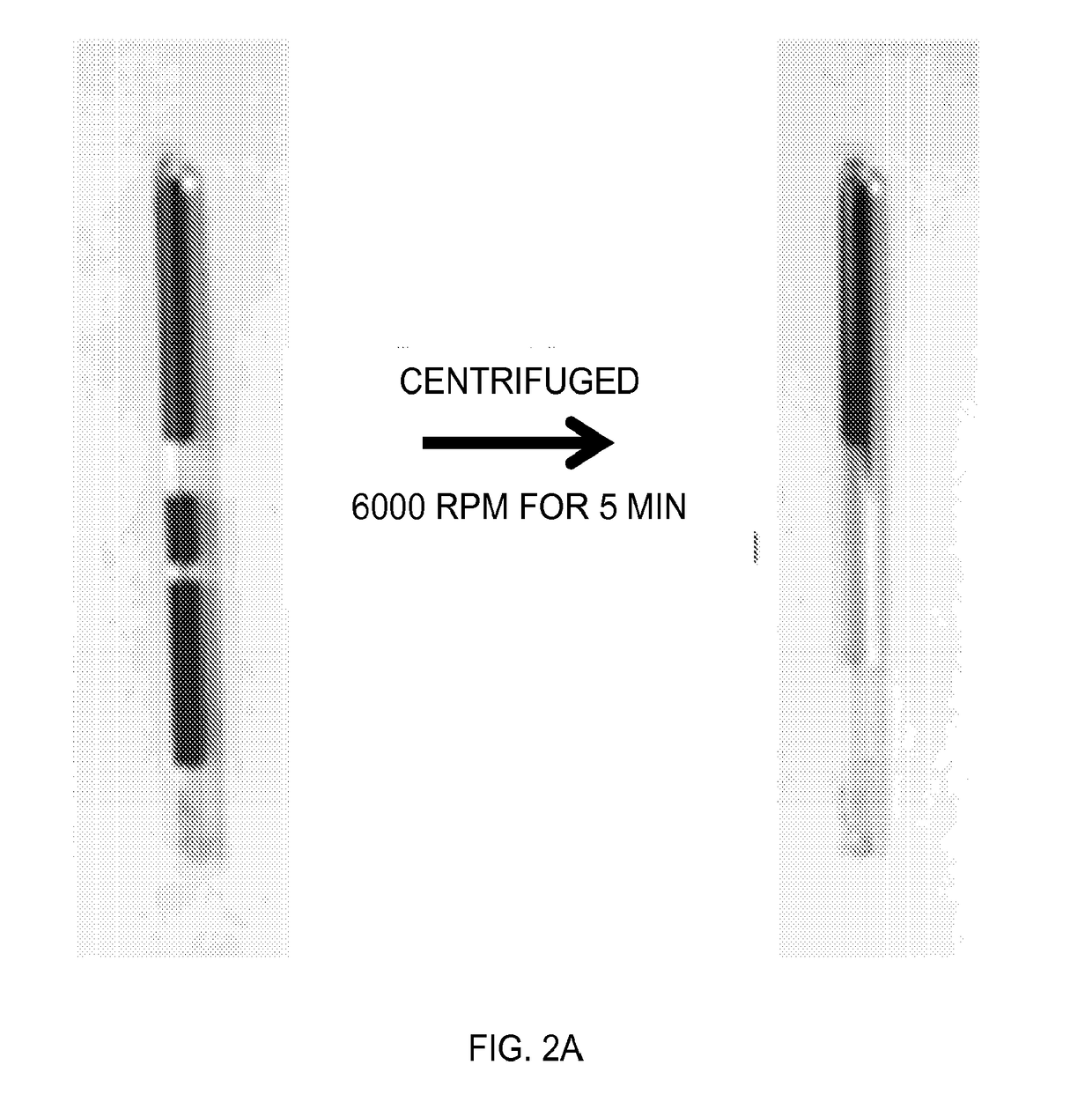 Device and methods of using device for detection of aminoacidopathies