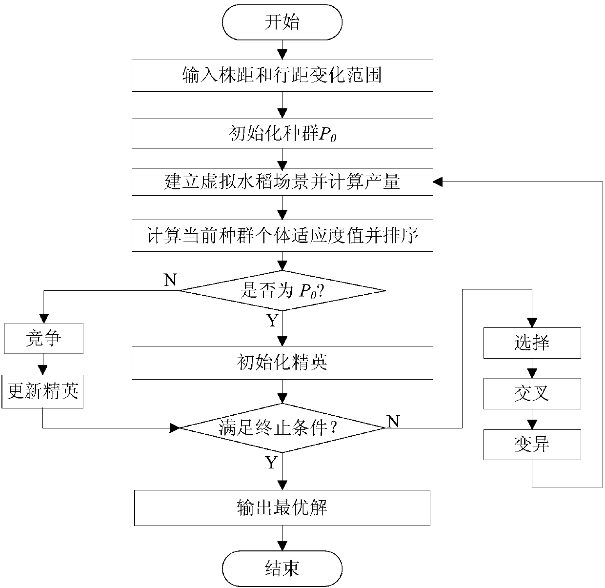 Virtual model-based paddy rice plant distance optimization method