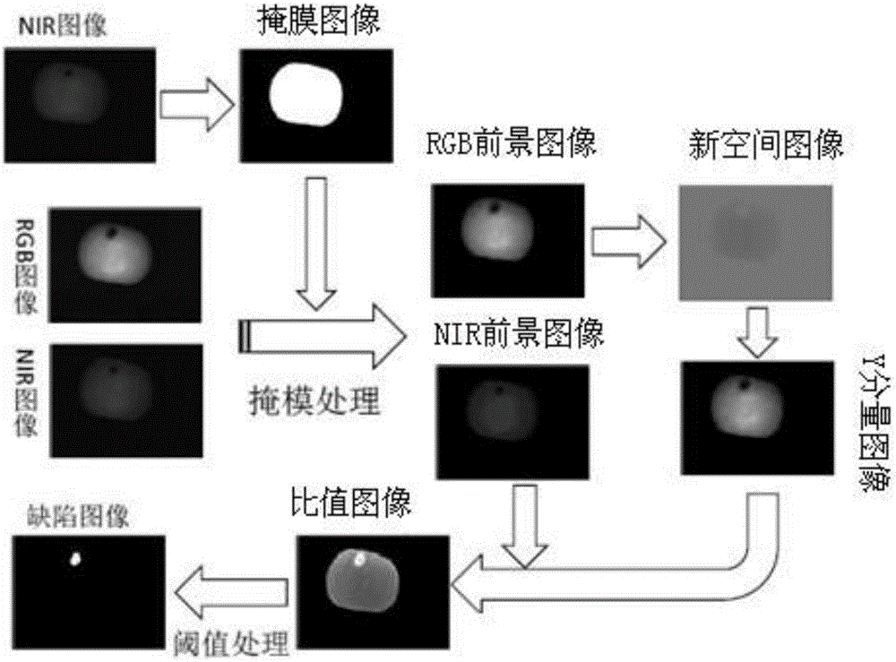 Method for detecting flaw on surface of fruit