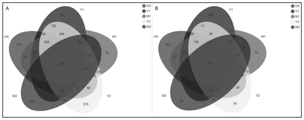 Method for changing microbial community in continuous soil of tobacco