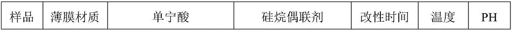 Hydrophobic polymer film composite coating hydrophiling modification method