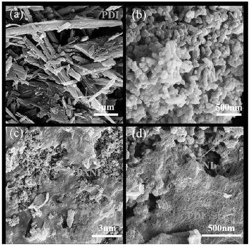 Polyaniline/perylene bisimide organic heterojunction photocatalyst and preparation method and application thereof