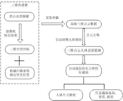 Method for automatically measuring human body dimensions on basis of three-dimensional point cloud data