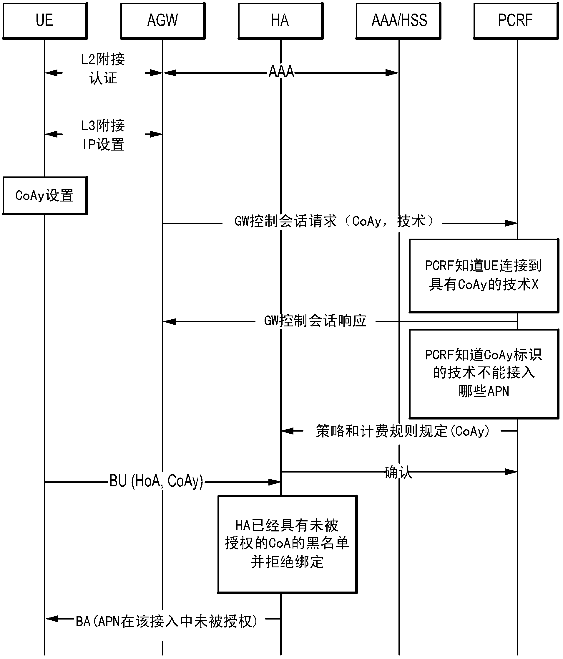 Apparatus and method for authorization for access point name (APN) usage in a specific access