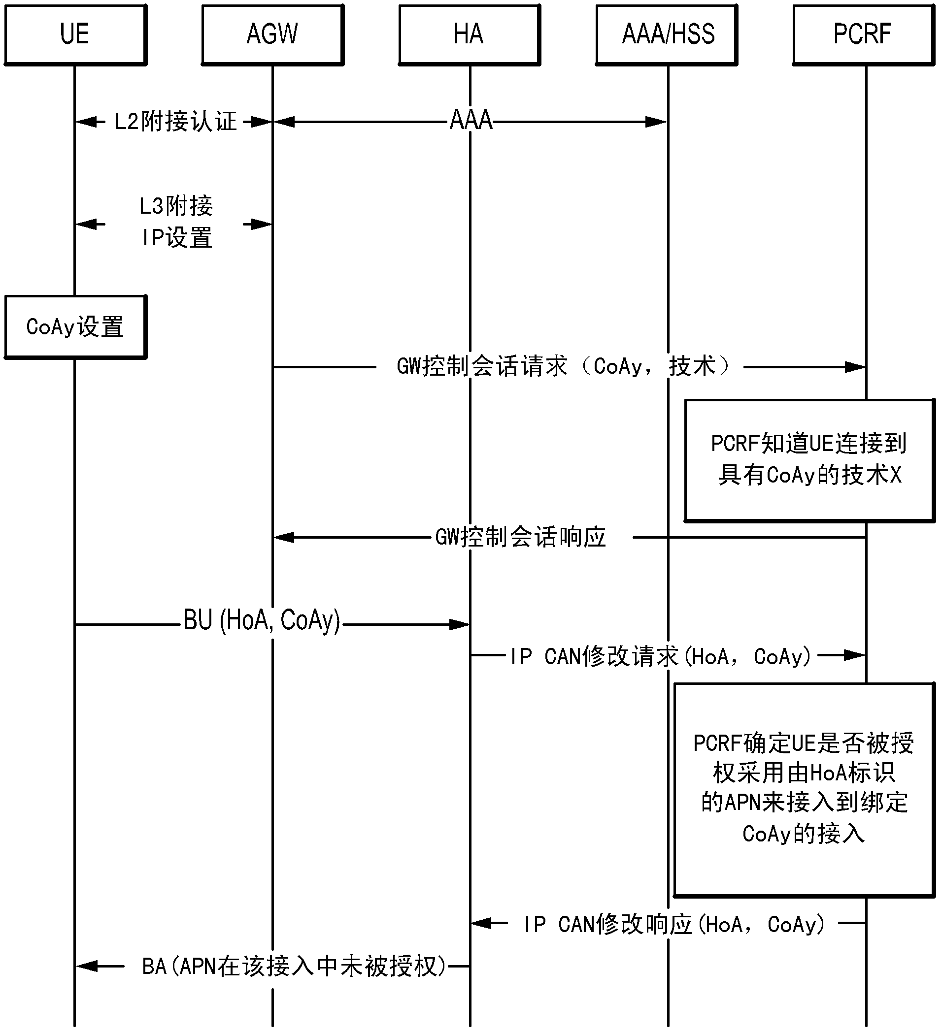 Apparatus and method for authorization for access point name (APN) usage in a specific access