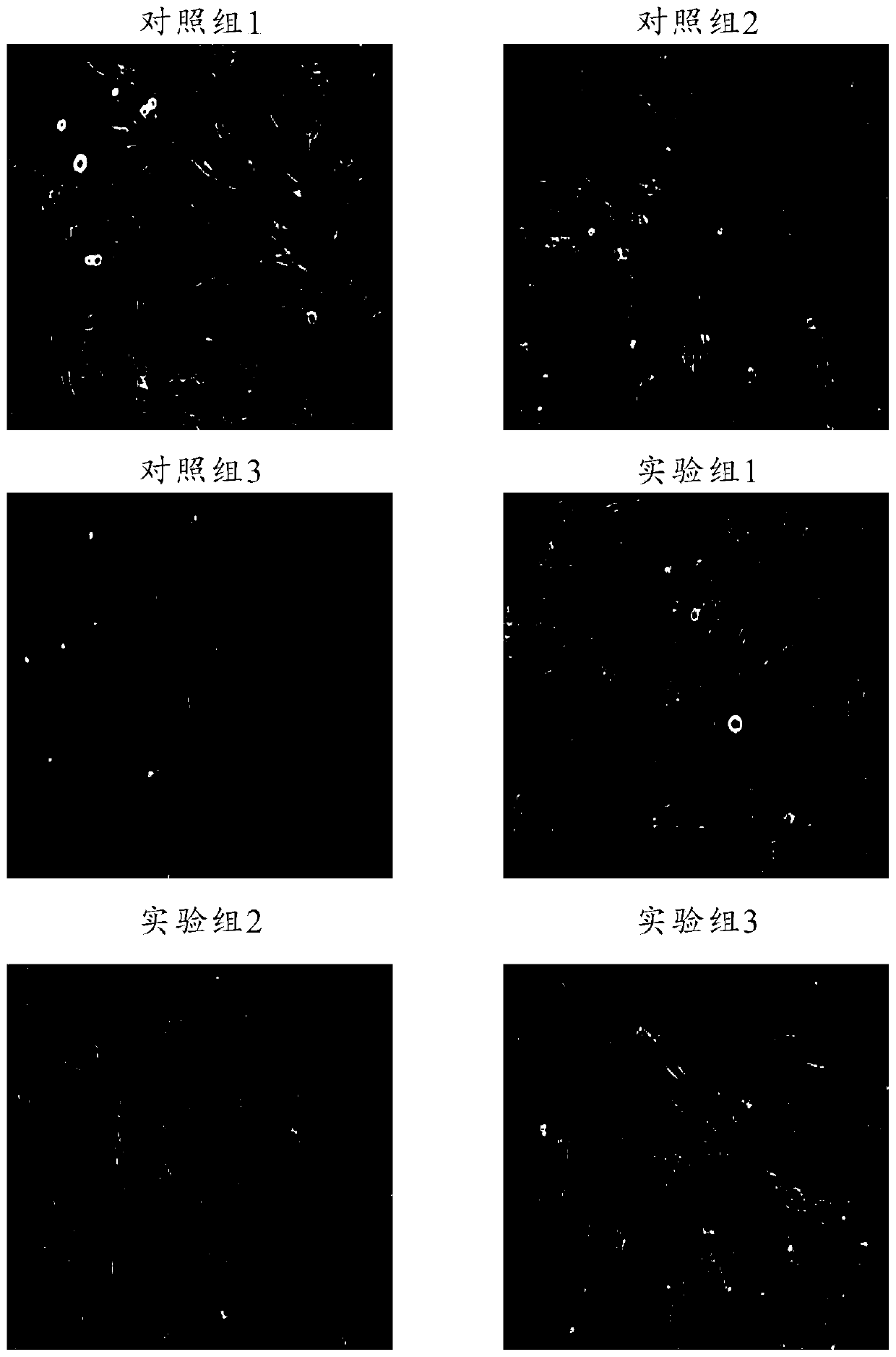 Serum-free culture medium, preparation method thereof and culture method of mesenchymal stem cells