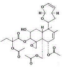 Pharmaceutical composition used for treating neuropathic pain