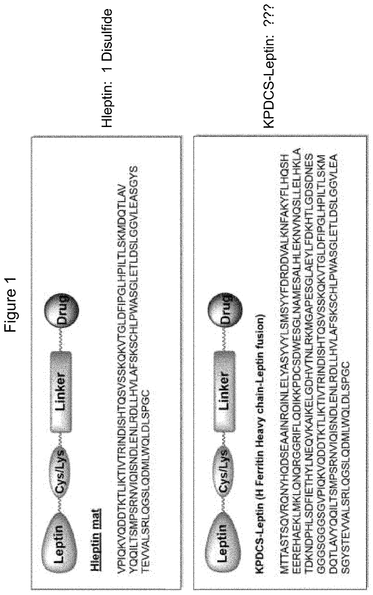 Compounds, compositions, methods, and uses for treating leptin resistance, obesity, diabetes mellitus and metabolic syndrome