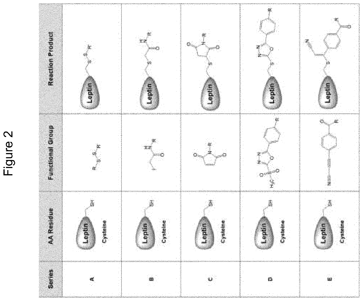 Compounds, compositions, methods, and uses for treating leptin resistance, obesity, diabetes mellitus and metabolic syndrome