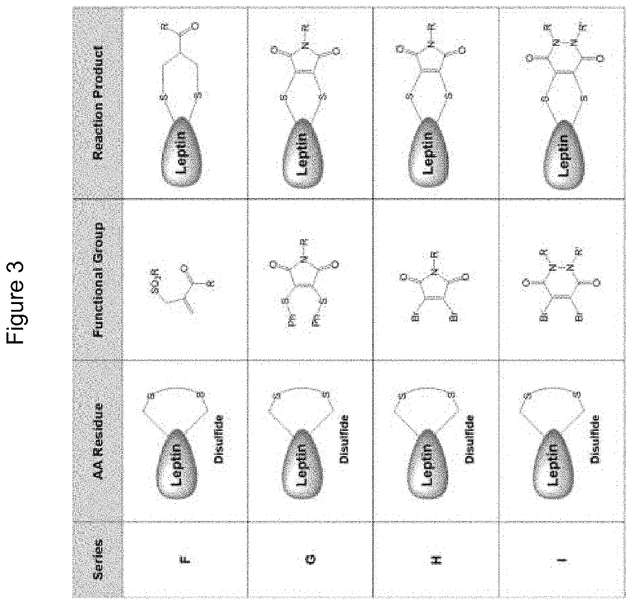 Compounds, compositions, methods, and uses for treating leptin resistance, obesity, diabetes mellitus and metabolic syndrome