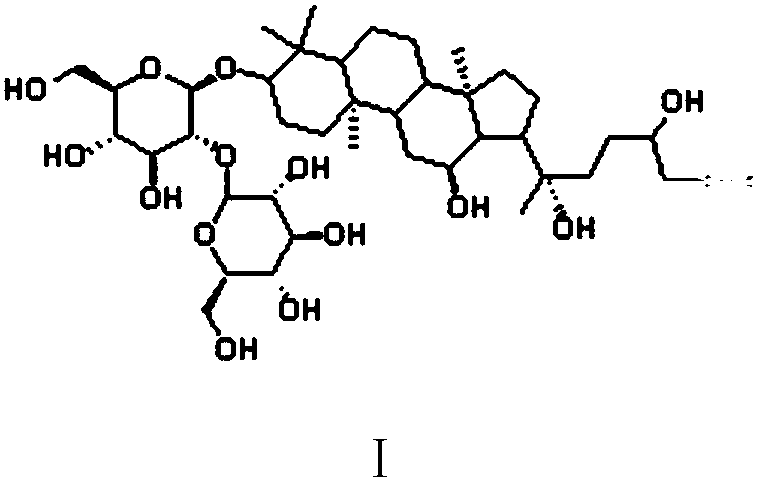 ABPP-based antitumor drug ginsenoside Rg3 active molecular probe, synthesis and applications thereof