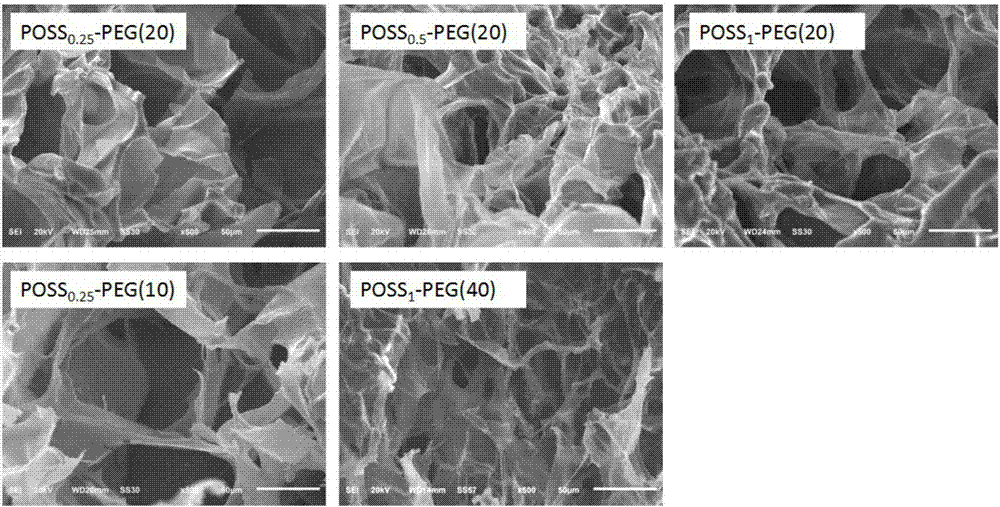 POSS-PEG (Polyhedral Oligomeric Silsesquioxane-Polyethylene Glycol) hybrid hydrogel as well as preparation method and application thereof