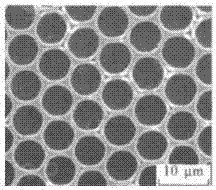 Degradable polylactic acid-polyoxyethylene ordered porous membrane and preparation method thereof