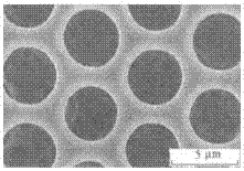 Degradable polylactic acid-polyoxyethylene ordered porous membrane and preparation method thereof