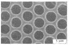 Degradable polylactic acid-polyoxyethylene ordered porous membrane and preparation method thereof