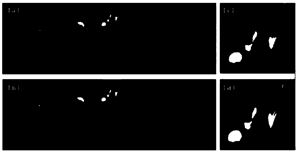 Optical image reconstruction method and device, computer equipment and storage medium